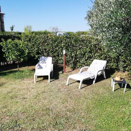 Ferienwohnung L'Aia Degli Olivi Vada Exterior foto