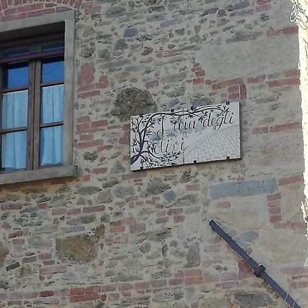 Ferienwohnung L'Aia Degli Olivi Vada Exterior foto