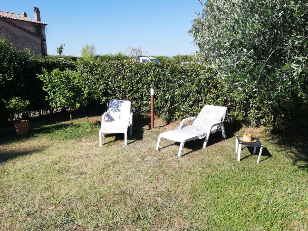 Ferienwohnung L'Aia Degli Olivi Vada Exterior foto