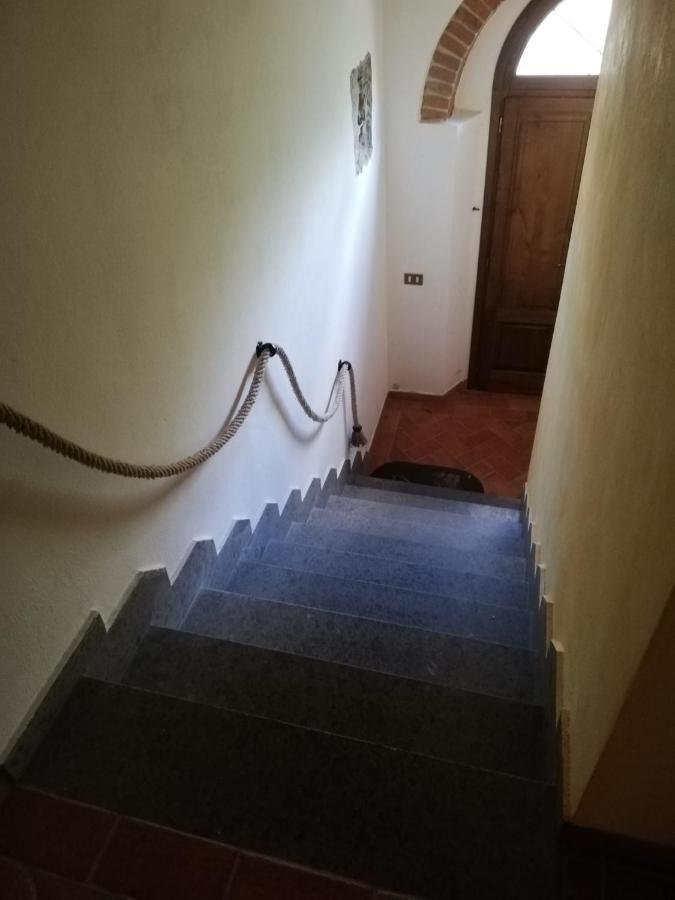 Ferienwohnung L'Aia Degli Olivi Vada Exterior foto