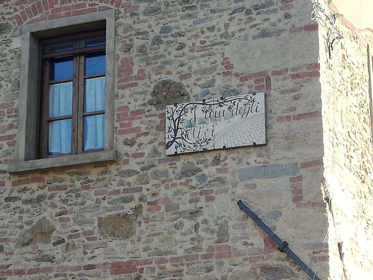 Ferienwohnung L'Aia Degli Olivi Vada Exterior foto